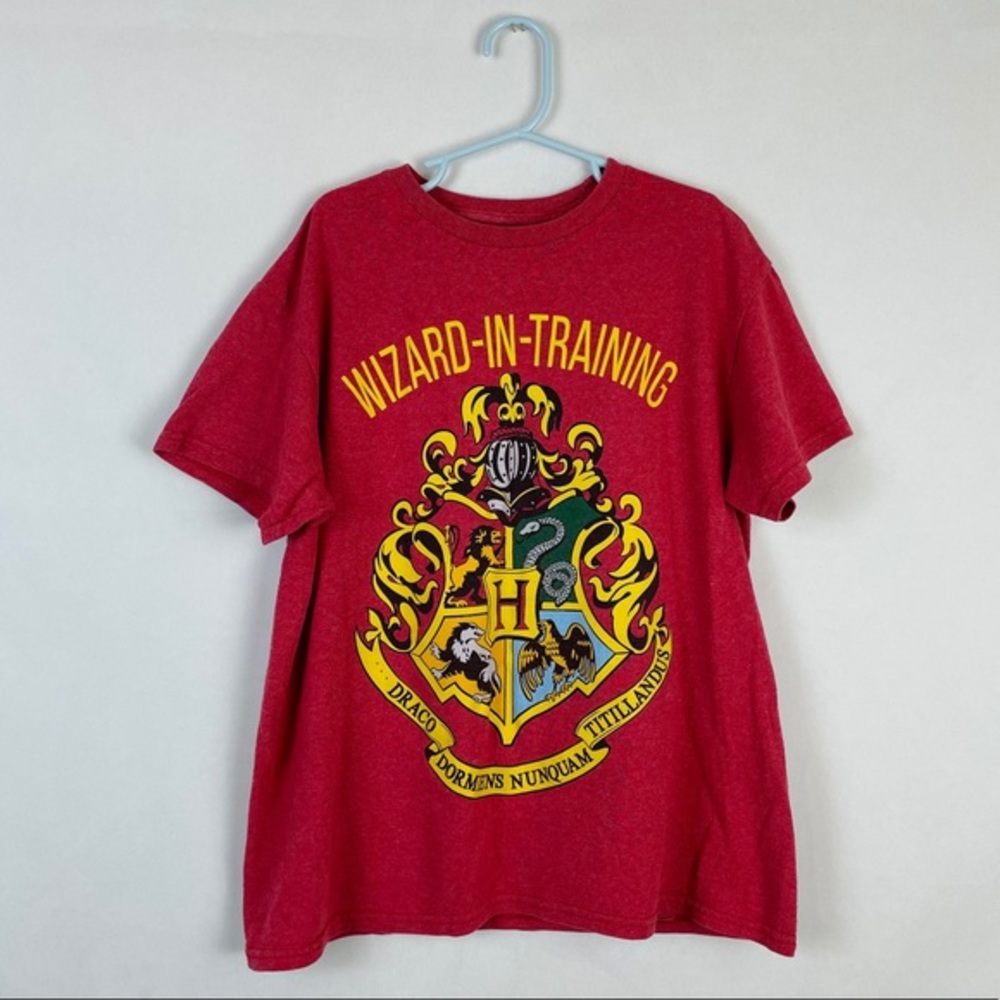 Harry Potter Wizards In Training graphic tshirt sm